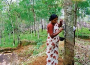 cross-india-2007